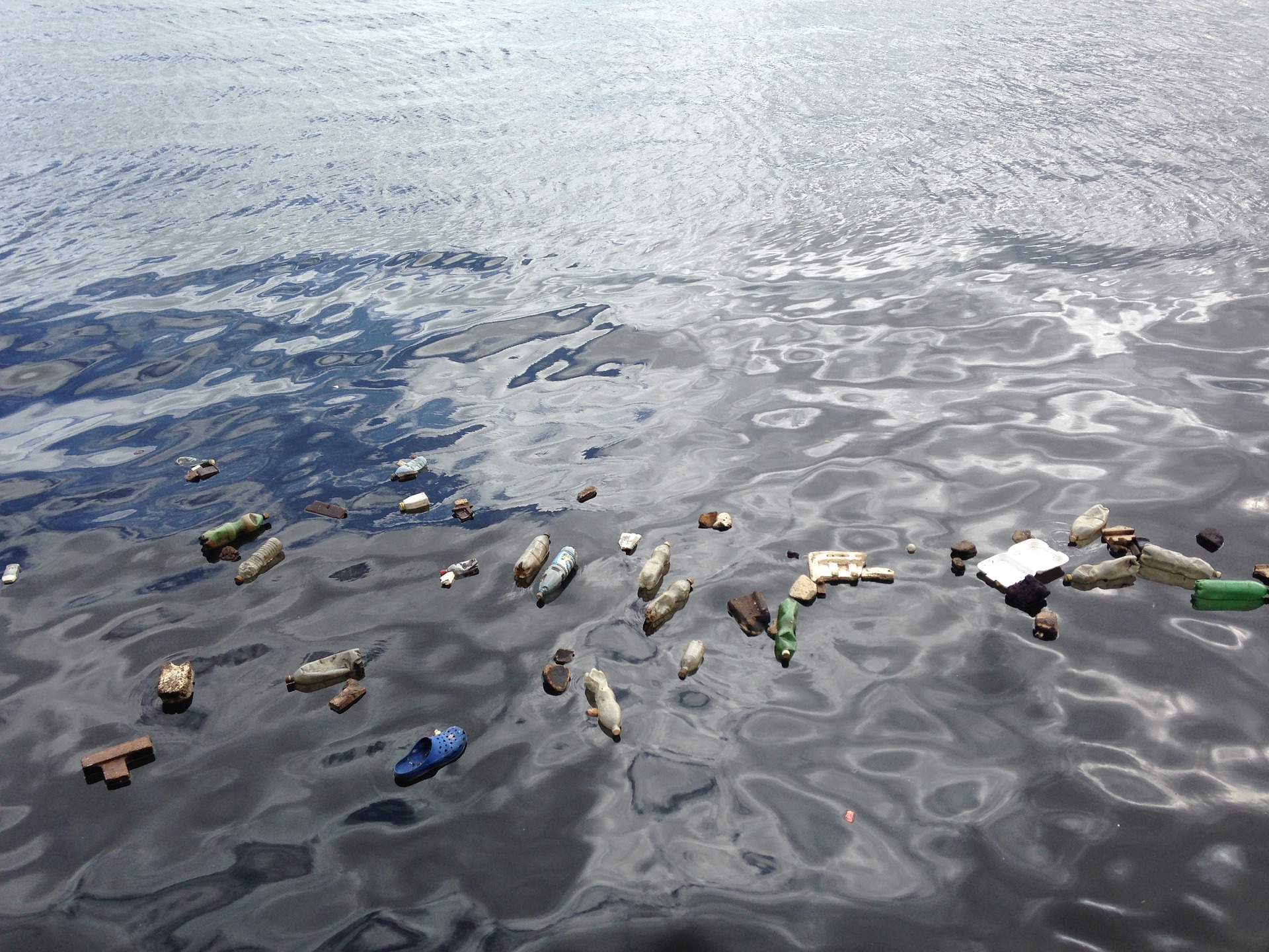 Action on ocean plastic pollution